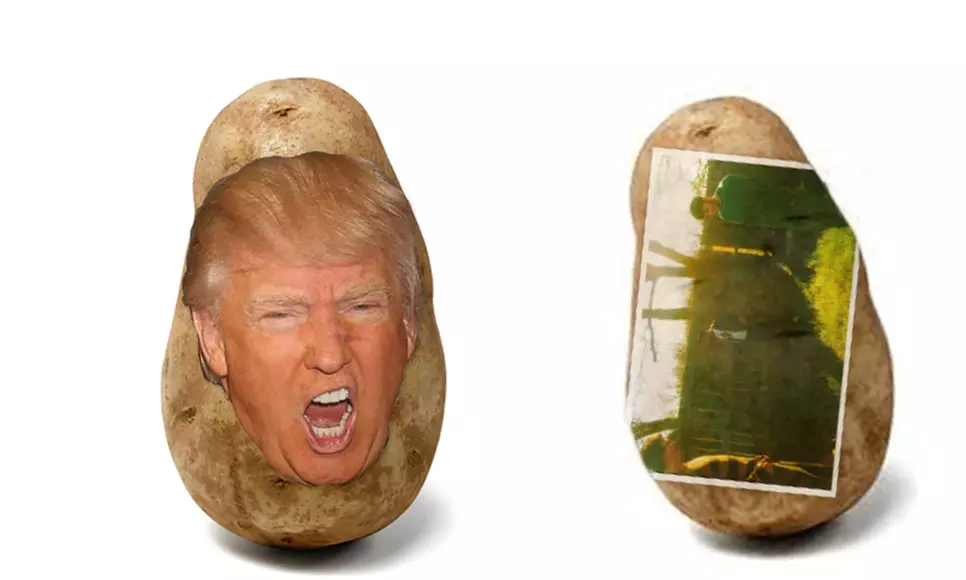 Potato Parcel Trump-Tato or Potato Postcard with Custom Message - Primary Image