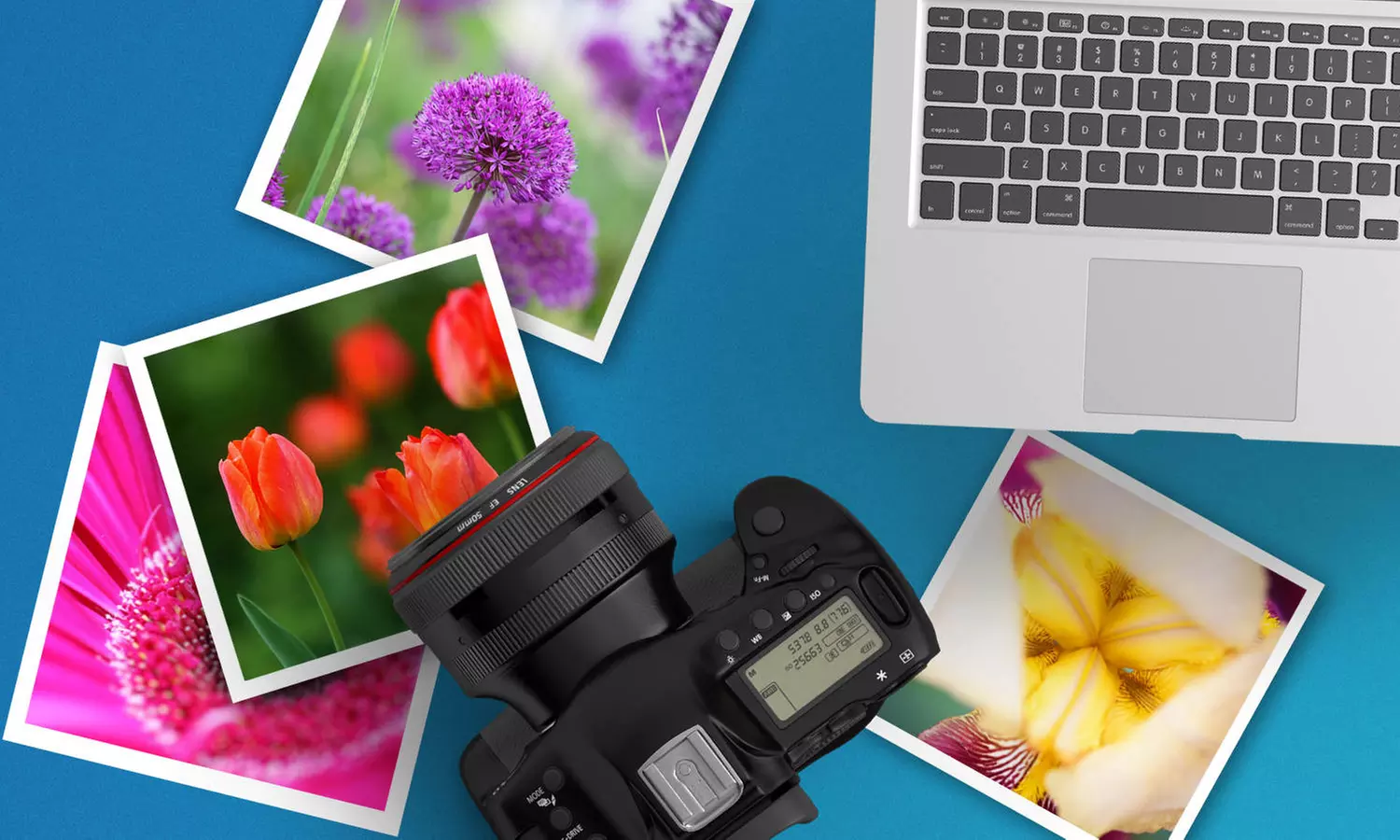 Photography Classes from CreativeLive (Up to 76% Off). 4 Options Available. - Second Medium