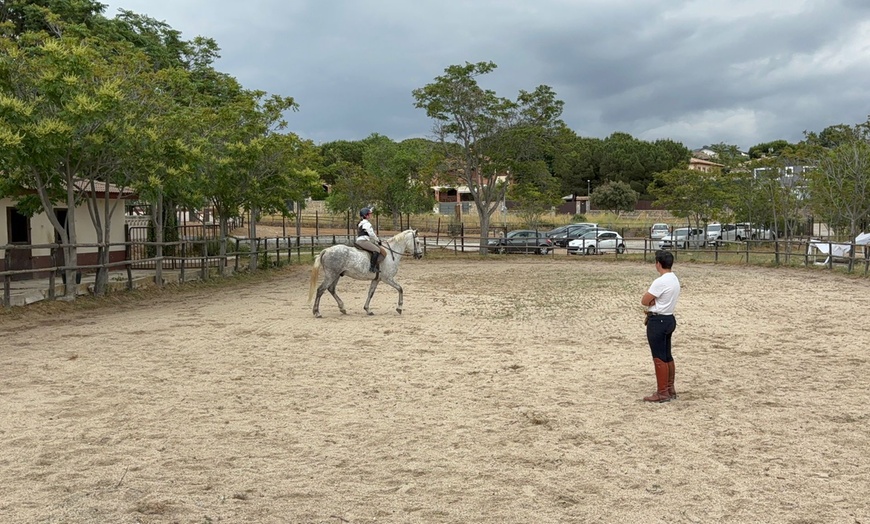 Image 10: Ruta a caballo con comida en plena naturaleza