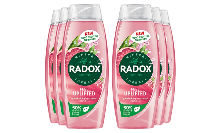 Image 13: Up to 12 Radox Shower Gels 450ml