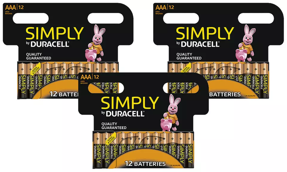 AA or AAA Duracell Batteries