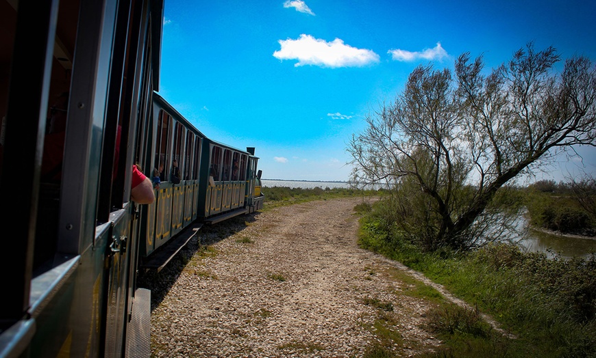 Image 3: Circuit en petit train en Camargue avec Manade de Méjanes