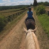 Image 3: Experience Horseback Trail Rides in Northern Virginia's Horse Country
