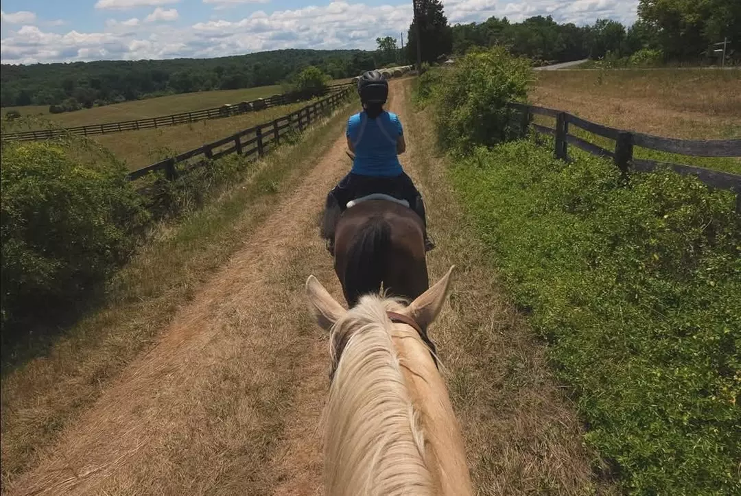 Experience Horseback Trail Rides in Northern Virginia's Horse Country