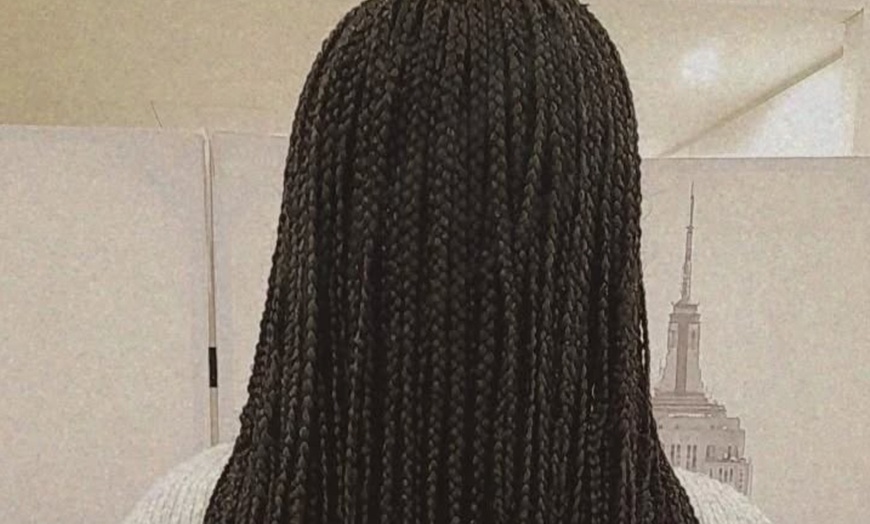 Image 7: Transform Your Look with Medium or Small Size Long Box Braids