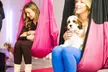 Puppy Pilates or  Puppy Restorative Aerial Hammock Private Party Up to 8 or 12 Guests (Up to 56% Off) - Second Medium