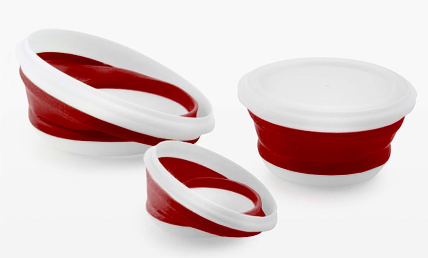 Image 7: PMS Collapsible Storage Bowls