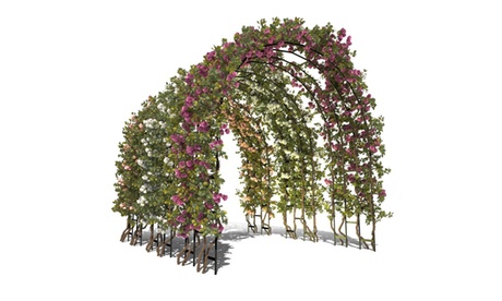 Arco per piante rampicanti Rigamonti, in acciaio