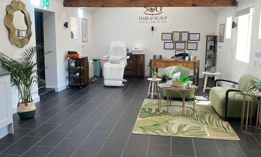 Image 2: 1-Hour Hair & Scalp Consultation with Analysis Valid Monday - Saturday