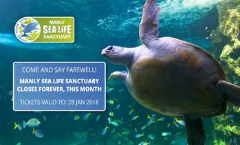 image for ⚡ FAREWELL SALE - 40% Off Entry ⚡