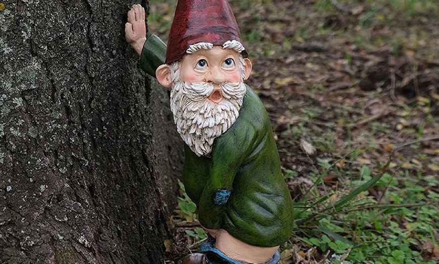 Image 10: Funny Gnome