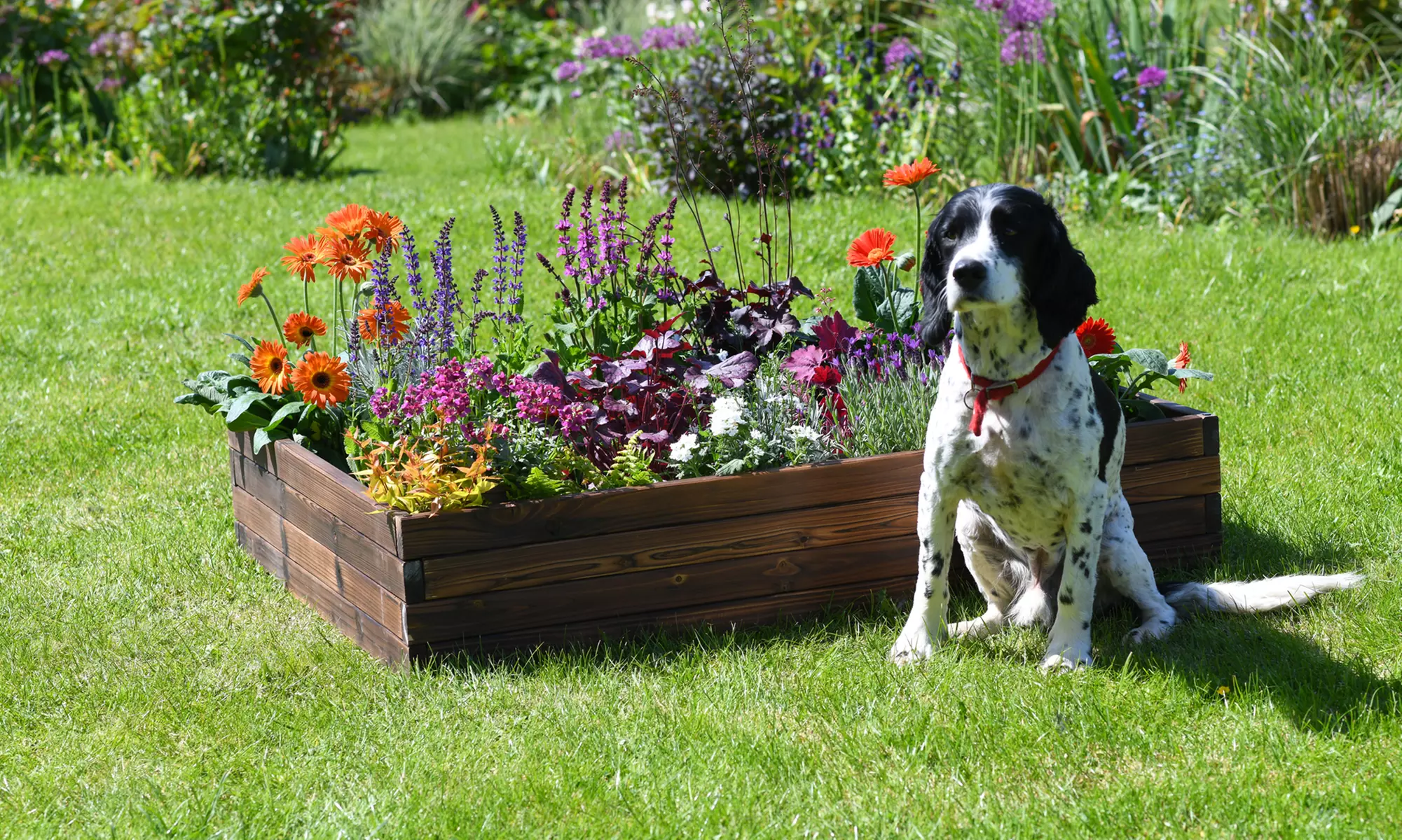 Up to Two Wooden Raised Garden Beds