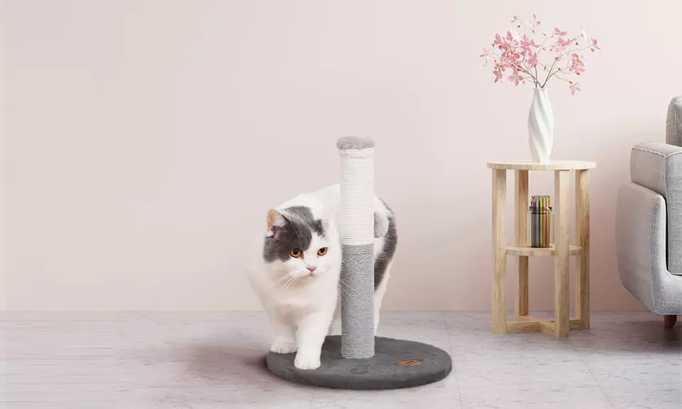 Tiragraffi in sisal naturale con base rinforzata in vari modelli e colori