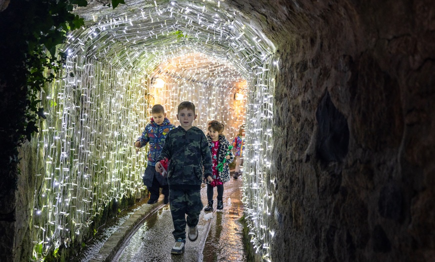 Image 9: Tunnel of Lights This is Christmas Through Dec 31, 2024