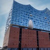 Image 3: Hamburg-Tour – Speicherstadt, Elbphilharmonie & Westfield-Center