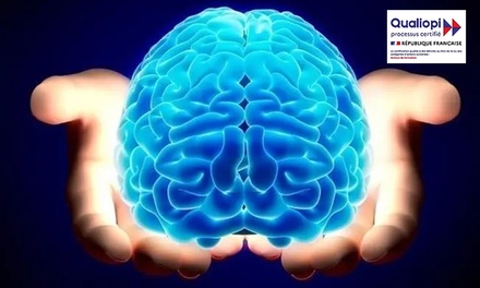 Formation en neurosciences en ligne - Meformer