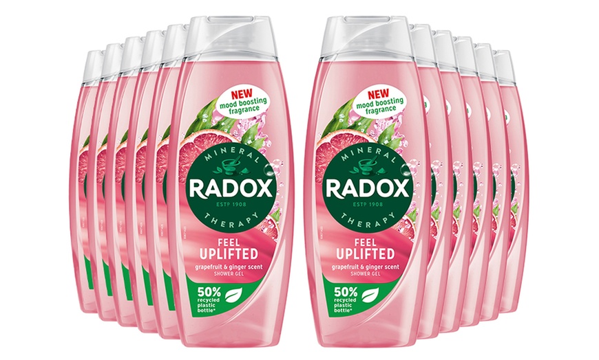 Image 14: Up to 12 Radox Shower Gels 450ml