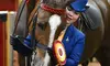 Join 1 or 4 Private Horseback Lessons For Adults or Children Ages 4 and Up at Krussell Stables (Up to 25%Off)