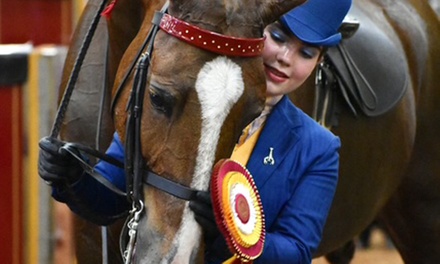 Private Tiny Tot Single Lesson — Ages 4-5 - Krussell Stables