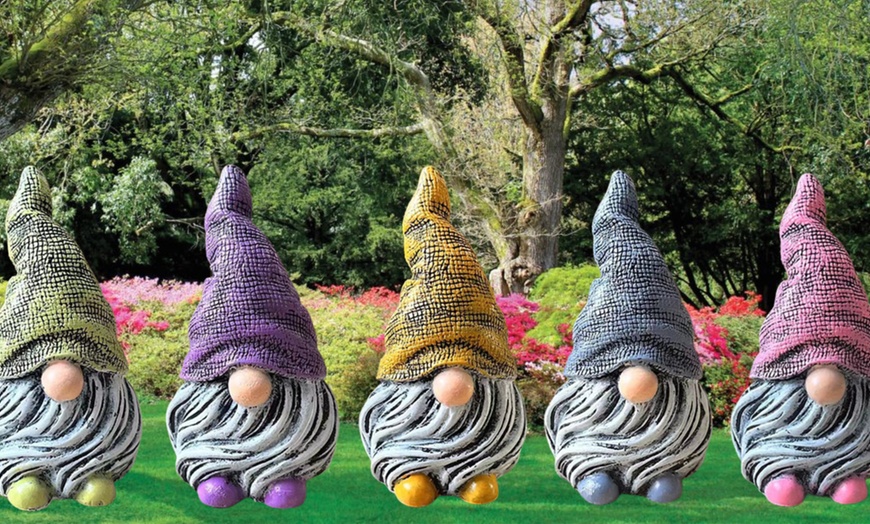 Image 2: One or Five Garden Gnomes