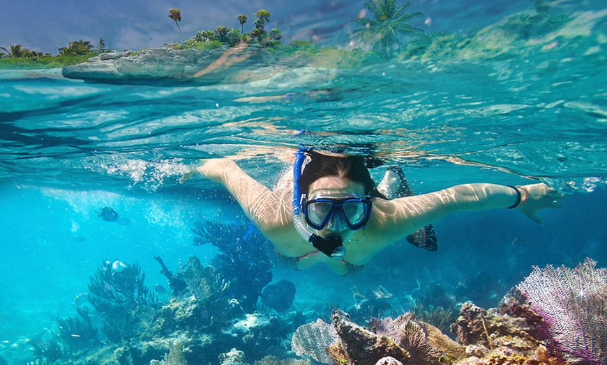 Image 1: Tour guiado de snorkel