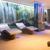 Spa-arrangement in Amsterdam