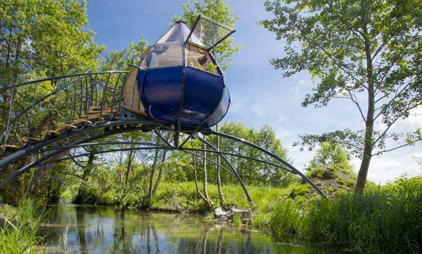 Image 1: Hauts-de-France : 1 à 2 nuits en cabane "goutte d'eau" ou en roulotte