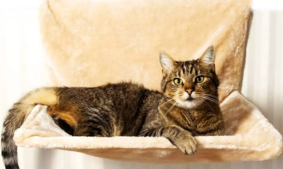 1 ou 2 hamacs suspendu sur radiateur pour chat Mediawave store - Second Medium