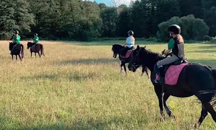 Odkryj urok jazdy konnej: indywidualne sesje lub trening na lonży w KajaKing (do -31%)