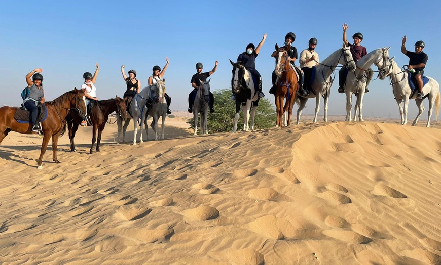 Image 3: Gallop Through the Sands with Desert Horse Riding for 1, 2, or 4