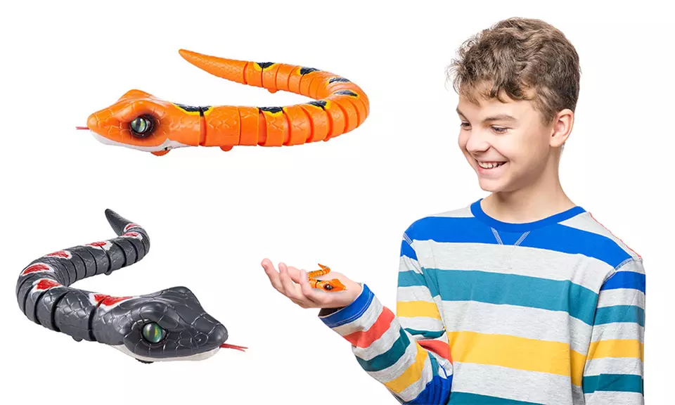 1 ou 2 serpents robotiques Tobar - Primary Image