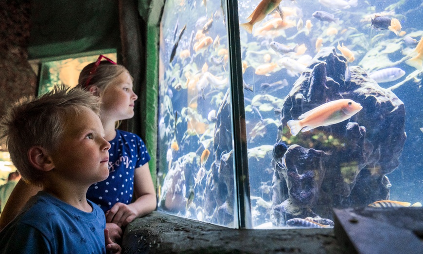 Image 6: Zoo Osnabrück: Tageseintritt für 1-2 Pers. o. XXL Familien-Jahreskarte