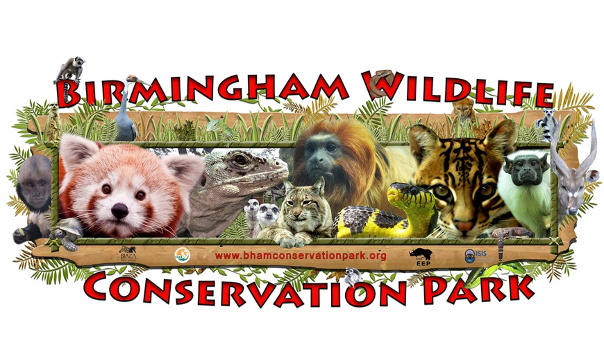 Birmingham Wildlife Conservation Park in - Birmingham | Groupon