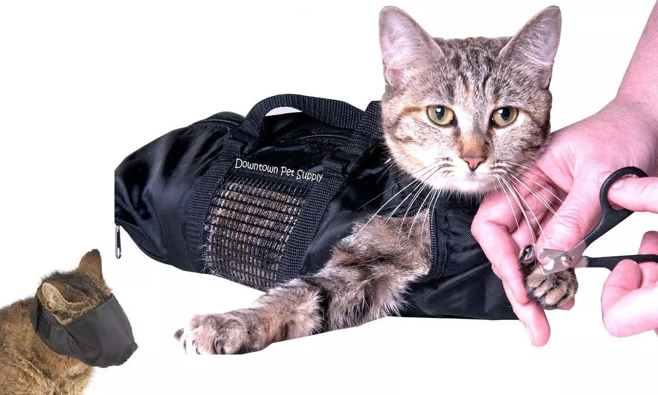 Cat Grooming Restraint Bag with Cat Muzzle - Primary Image