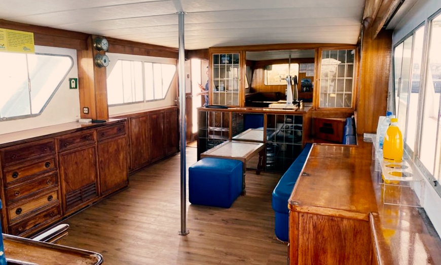 Image 5: Excursión de 4 horas en barco para avistar ballenas y delfines