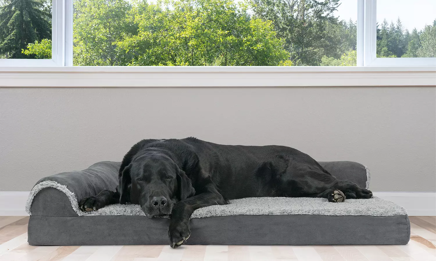 Furhaven Chaise Lounge Orthopedic Pet Bed - Primary Image