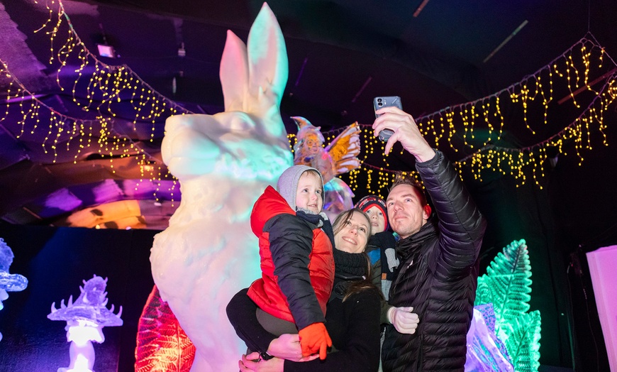 Image 8: Niederländisches Eisskulpturen-Festival in Biddinghuizen