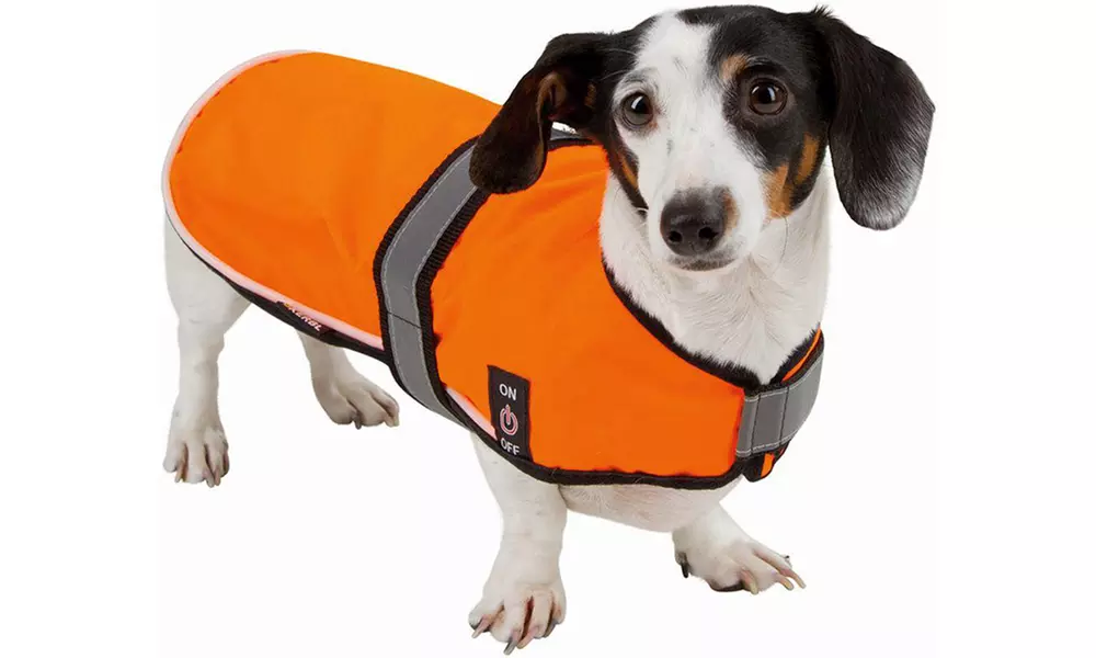 Kerbl Hunde-Sicherheitsweste Maxi Safe in der Größe nach Wahl - Primary Image