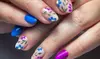 Up to 47% Off on Salon-Shellac/No-Chip Mani-Pedi at Organic nail and spa