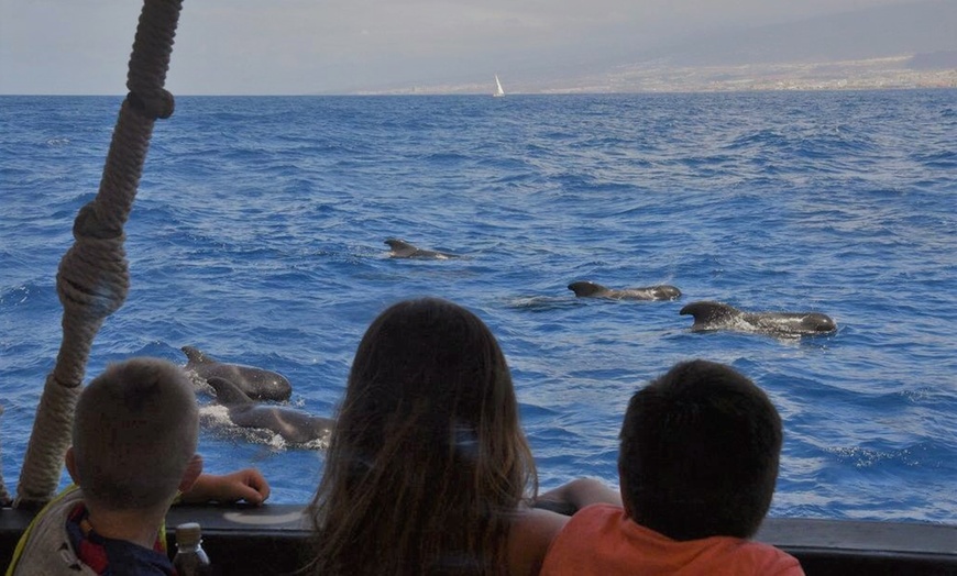 Image 5: Paseo en barco vikingo