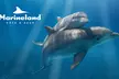 Au cœur de Marineland, le plus grand zoo marin d'Europe avec une entrée unique adulte / enfant - Second Medium