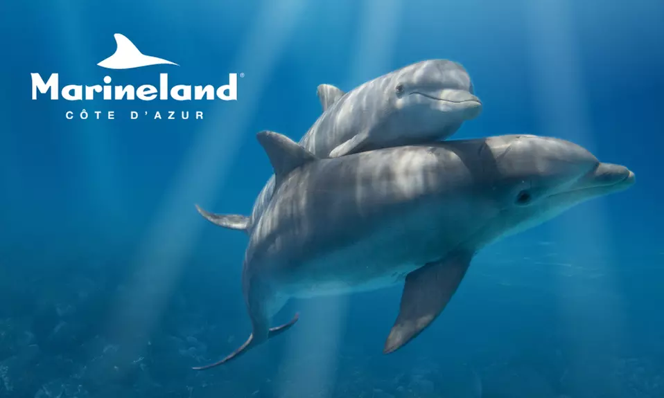 1 entrée enfant ou adulte, valable jusqu'au 30 septembre 2022, au parc Marineland (jusqu'à 30% de réduction) - Primary Image