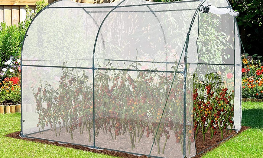 Image 10: Outsunny Greenhouse