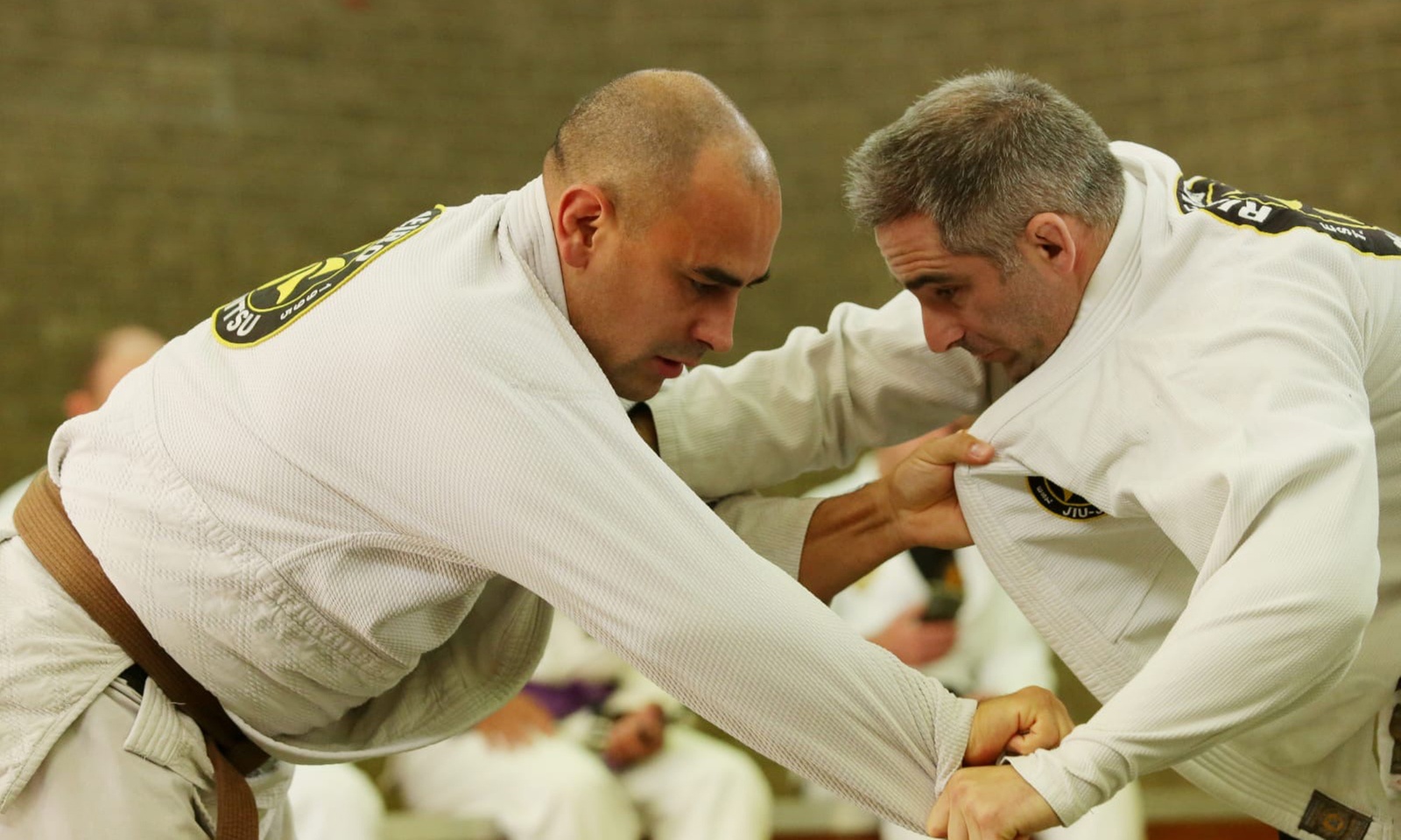 10 Adult Brazilian Jiu Jitsu Classes