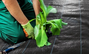 Heavy-Duty Weed Mat Control