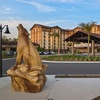 Image 22: Great Wolf Lodge South Florida in Naples, FL