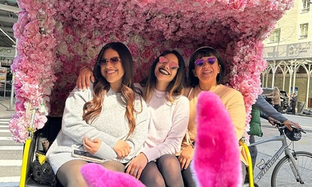 1 hr Pedicab Tour around NYC for One - New York Tours By Mr. T Travel