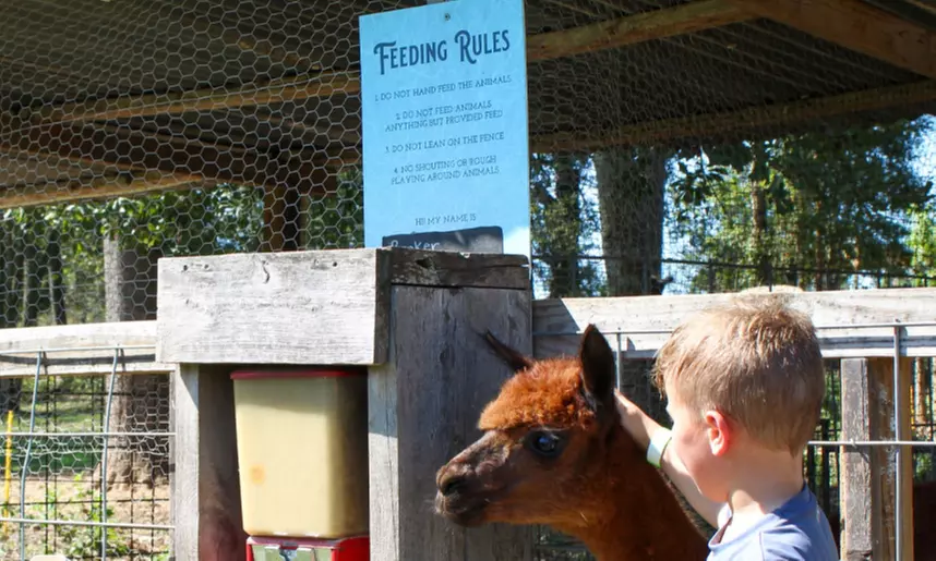 Farm Fun Awaits! Get Friday or Weekend Passes for 2, 3, or 4 People at Hidden Rivers Farm (Up To 22% Off) - Second Medium