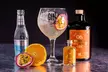 The Gin To My Tonic Festival, 25 July - 10 December, Nine Locations (Up to 30% Off) - Image 5