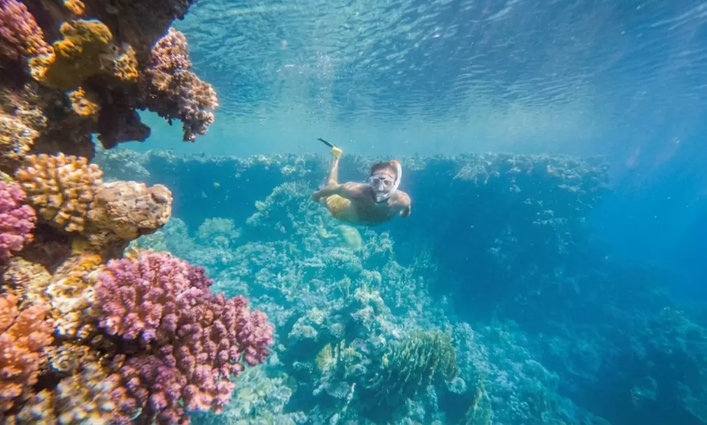 Excursión guiada en kayak a elegir con fotos y opción a snorkel para 1